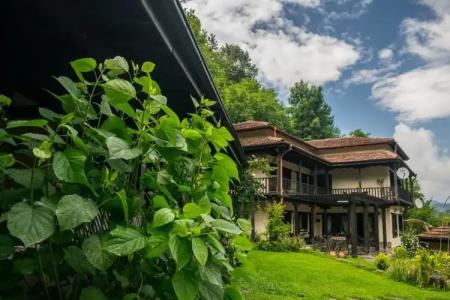Guest House Verbena