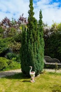 Villa Maria Revas - 33