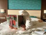 Deluxe Double room with balcony and with lake view
