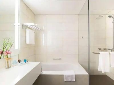 Novotel Abu Dhabi Al Bustan - 102