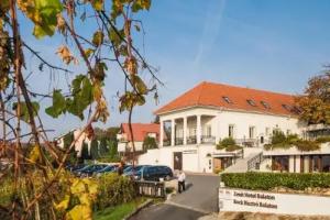 Zenit Wellness Hotel Balaton, Vonyarcvashegy