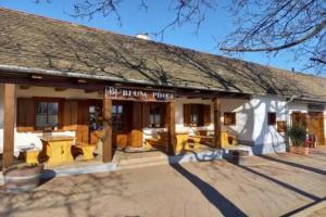 Blum Pince - Borozo Vendeghaz, Villany
