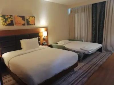 Hilton Garden Inn Erzincan - 108