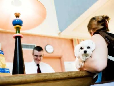 Mercure Szekesfehervar Magyar Kiraly - 24