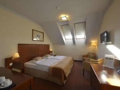 Mercure Szekesfehervar Magyar Kiraly - 45