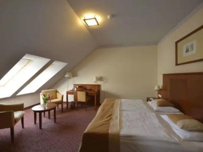 Mercure Szekesfehervar Magyar Kiraly - 34