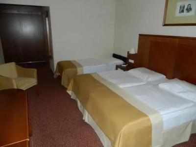 Mercure Szekesfehervar Magyar Kiraly - 21