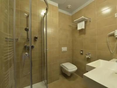 Mercure Szekesfehervar Magyar Kiraly - 48