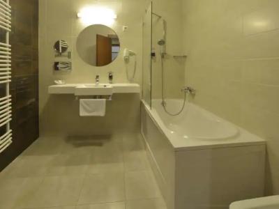 Mercure Szekesfehervar Magyar Kiraly - 40