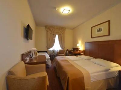 Mercure Szekesfehervar Magyar Kiraly - 36