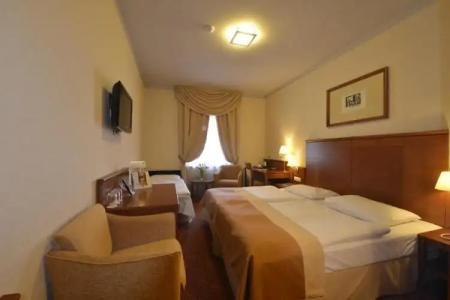 Mercure Szekesfehervar Magyar Kiraly - 25