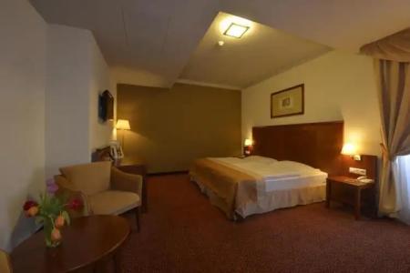 Mercure Szekesfehervar Magyar Kiraly - 38