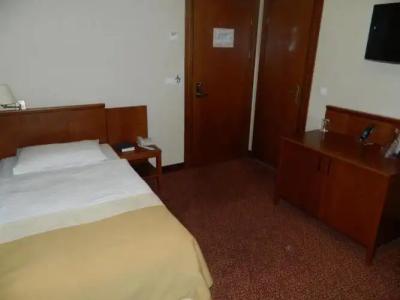 Mercure Szekesfehervar Magyar Kiraly - 16