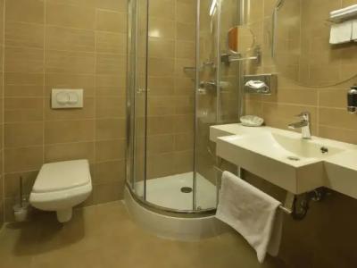 Mercure Szekesfehervar Magyar Kiraly - 43