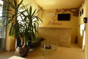 Hotel Avenue, Sunny Beach
