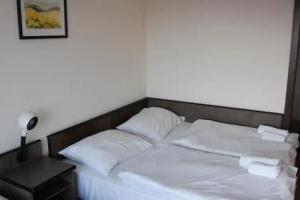 Hotel Hungária, Siofok