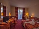 Standard Double room with pool view