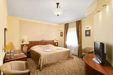 Aranyhomok Business City-Wellness-Hotel - 53