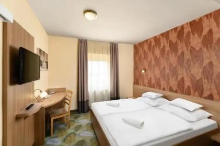 Aranyhomok Business City-Wellness-Hotel - 41