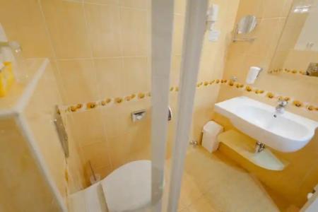 Aranyhomok Business City-Wellness-Hotel - 46