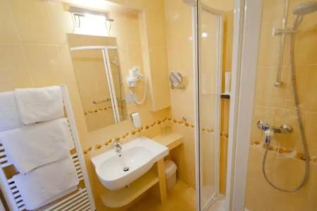 Aranyhomok Business City-Wellness-Hotel - 40