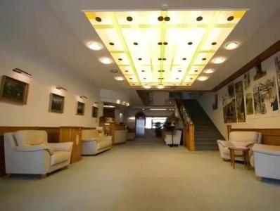 Aranyhomok Business City-Wellness-Hotel - 10
