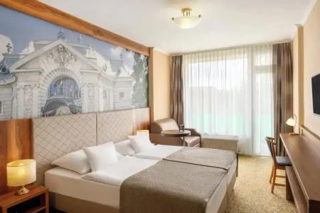 Aranyhomok Business City-Wellness-Hotel - 30