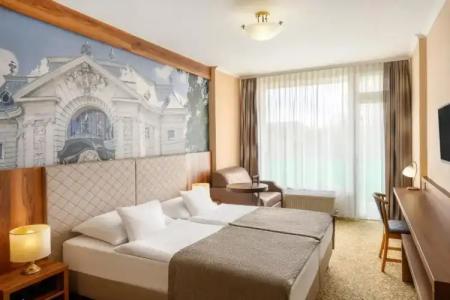 Aranyhomok Business City-Wellness-Hotel - 3