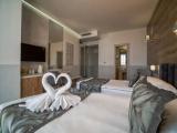Standard Double room with balcony and with park view