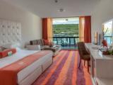Superior Double room with balcony and with Resort View