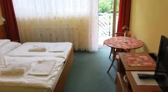Drava Thermal Resort - 4