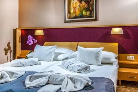 Drava Thermal Resort - 27