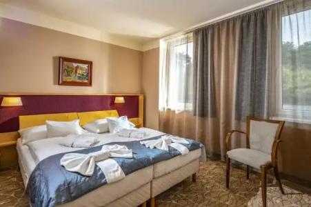 Drava Thermal Resort - 26
