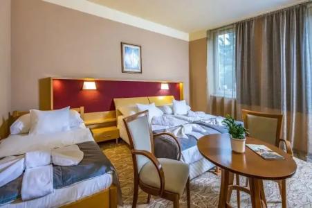 Drava Thermal Resort - 25