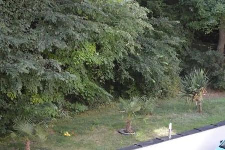 Apart Complex Amphora Palace - 144