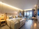 Standard Double Club room with balcony and with sea view