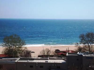 Apart Golden Line - 87