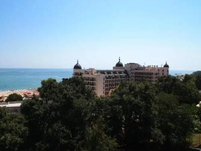 Apart Golden Line - 82