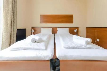 Richter Pansion - 35