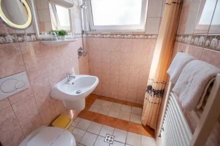 Richter Pansion - 20