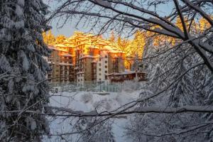 Complex Kamelia Apart-hotel, Pamporovo
