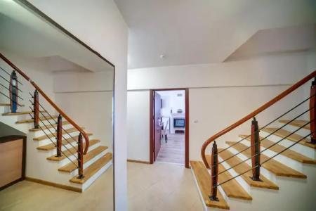 Complex Kamelia - 15