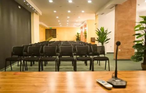 Complex Kamelia - 22