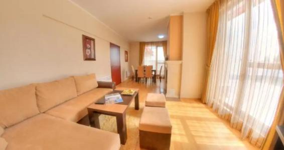 Complex Kamelia - 17