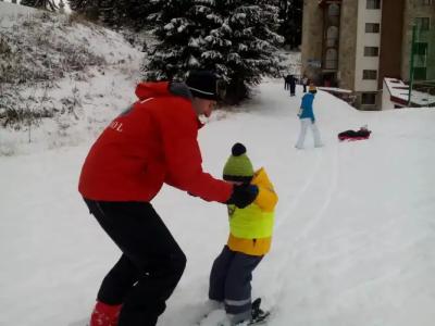 Complex Kamelia - 35