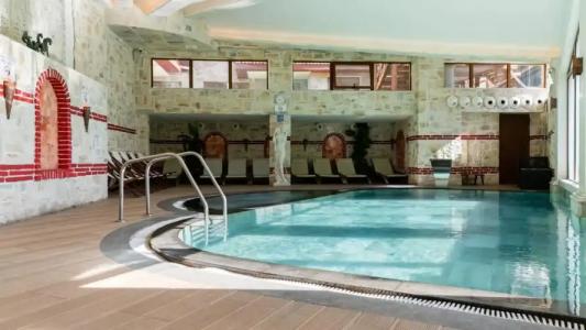 Complex Kamelia - 19