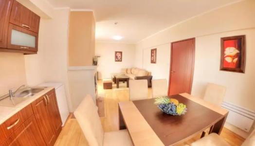 Complex Kamelia - 43