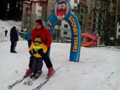 Complex Kamelia - 36