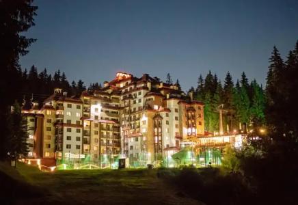 Complex Kamelia - 26