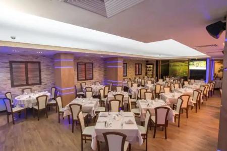 Complex Kamelia - 29